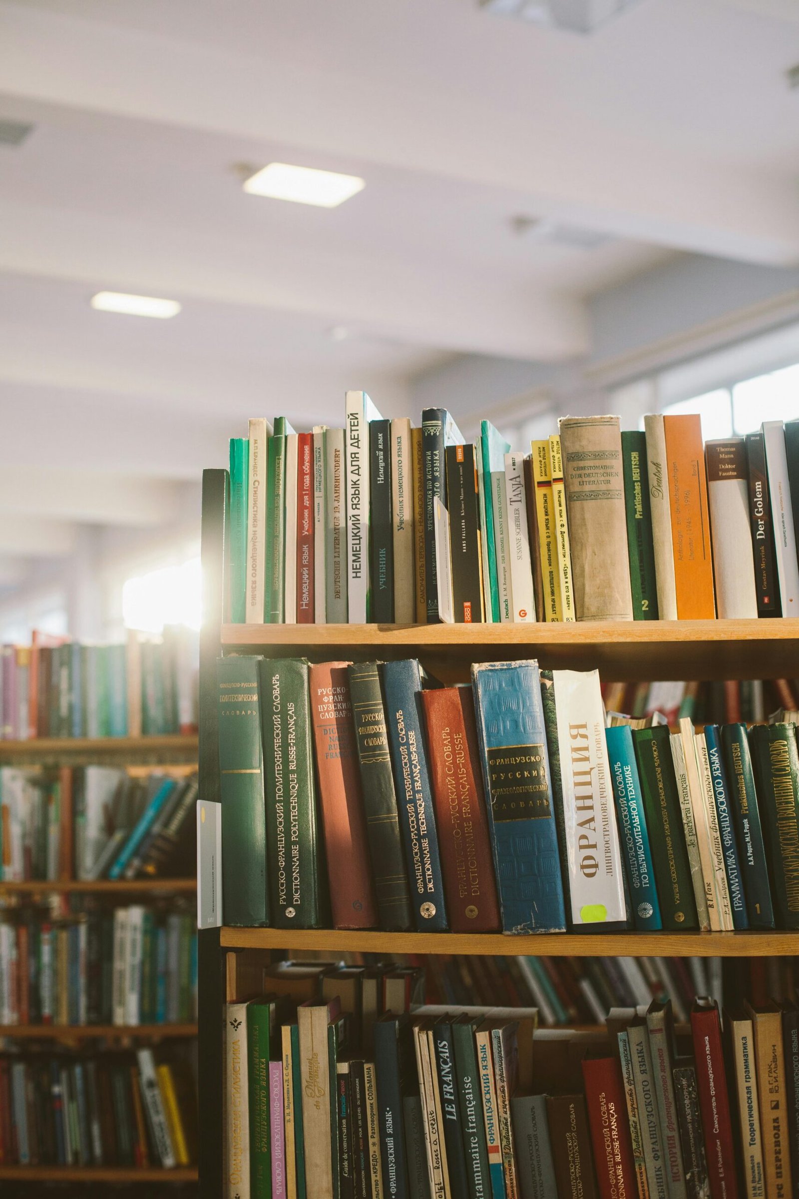 Bookshelf in a sunlit library with a diverse collection of books. Perfect for education or literature themes.
